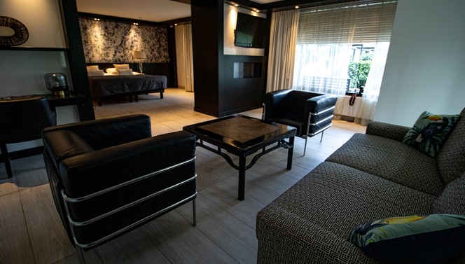 Living room with sleeping area